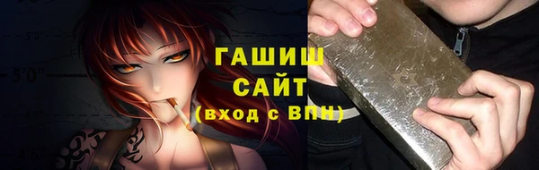 мдпв Богородицк
