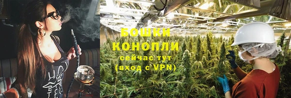 трава Беломорск