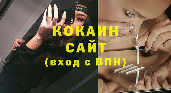 мдпв Богородицк